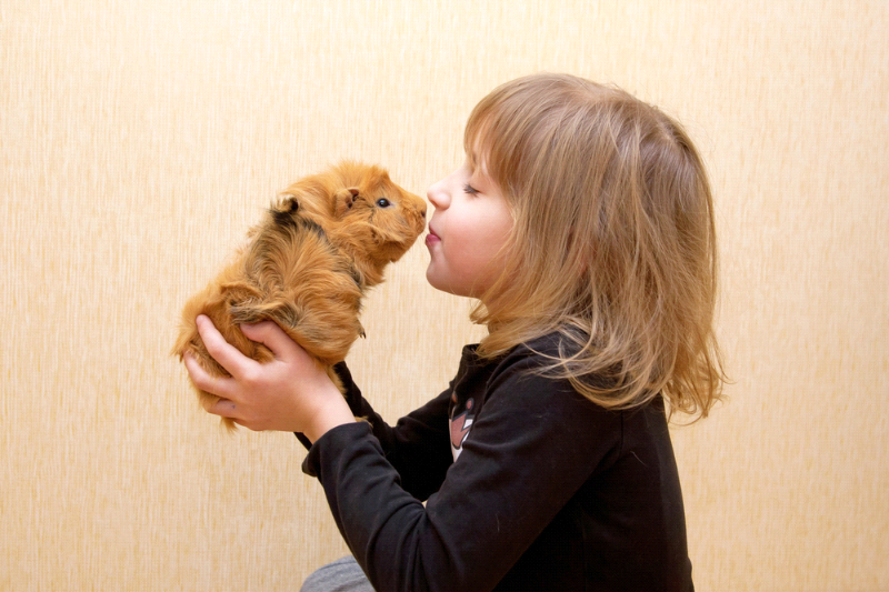, влияние домашних животных на детей
